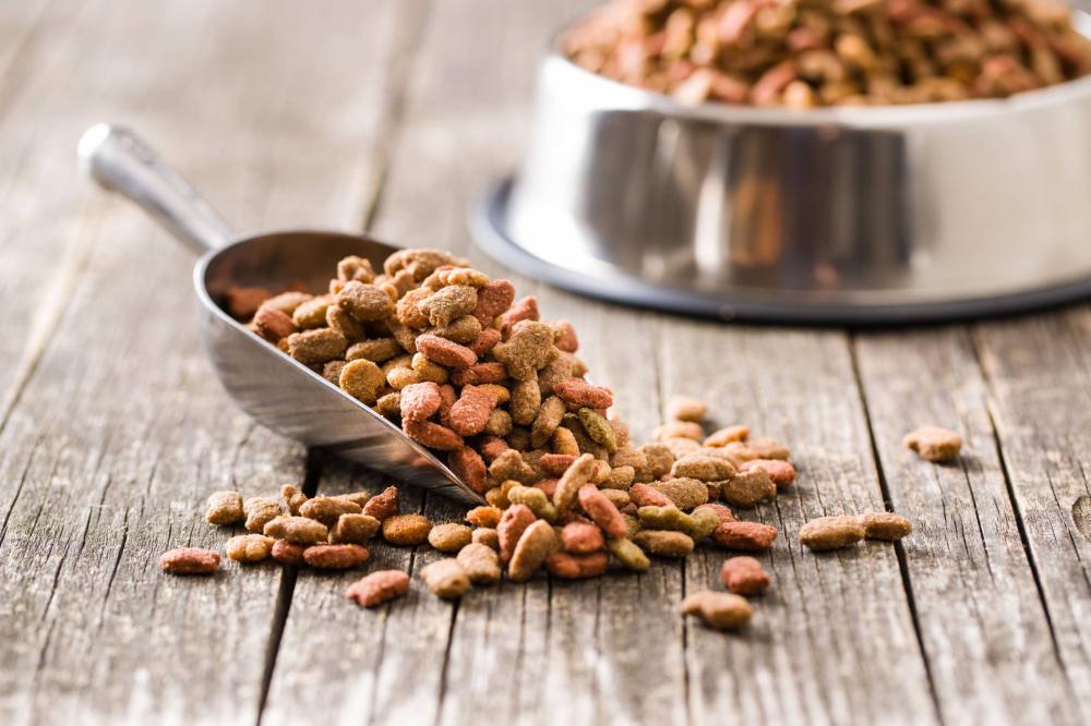 Nourriture pour animaux