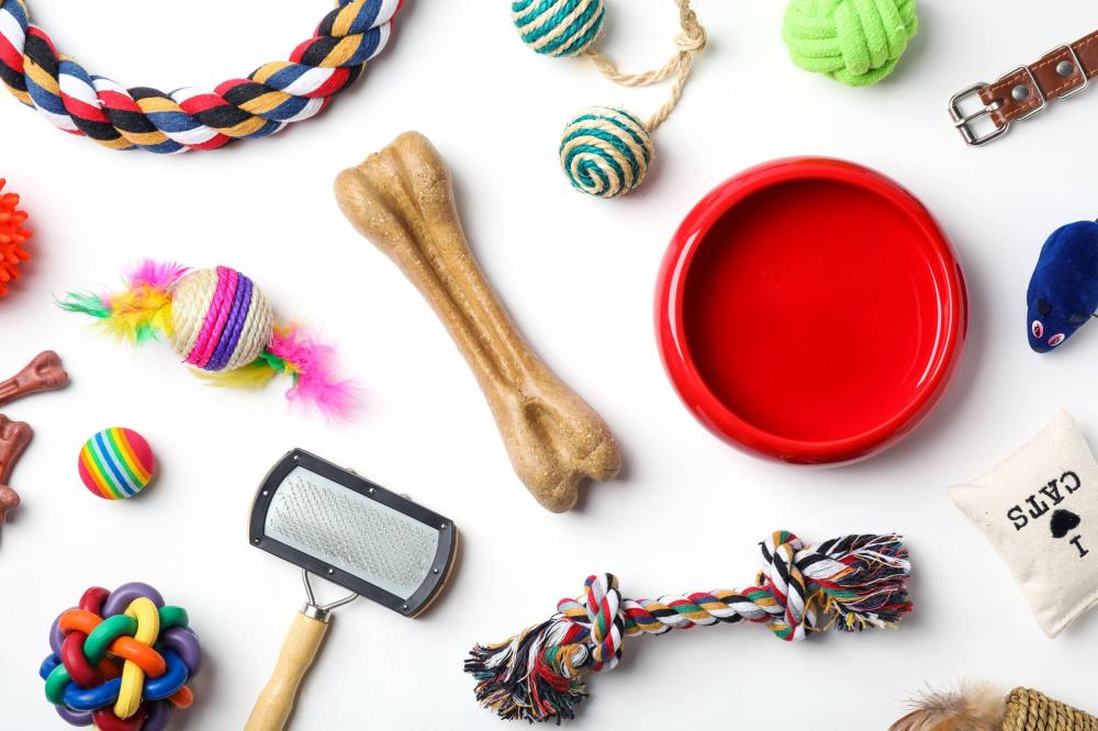 jouets pour animaux
